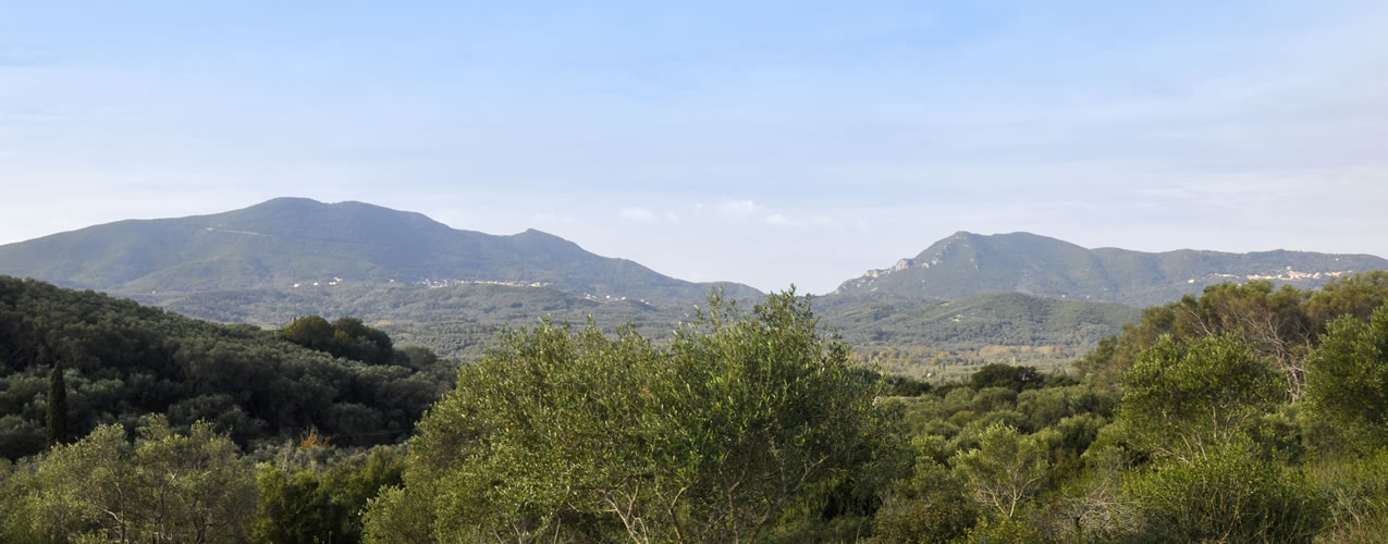 Strogili Nature